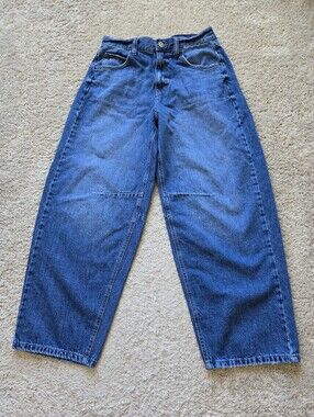 BDG Barrel Leg Jeans Womens 31W Blue Bickle Back